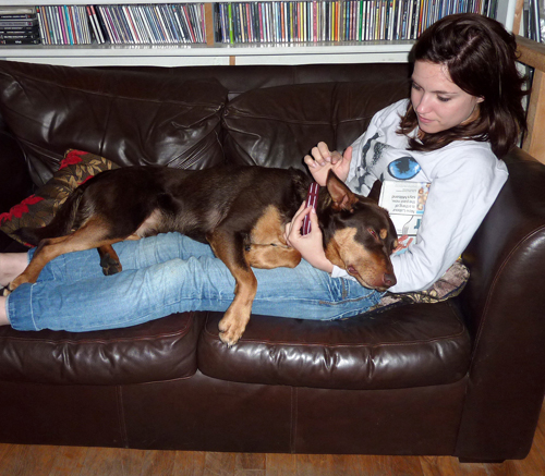Brunette woman and Red Cloud kelpie dog lying on sofa