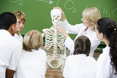 Students in biology class
