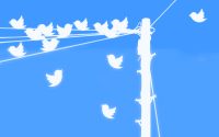 Twitter birds on a wire